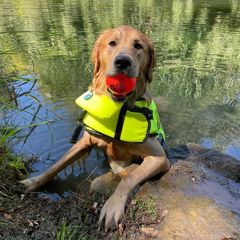 3 Pack Fetch & Glow Balls