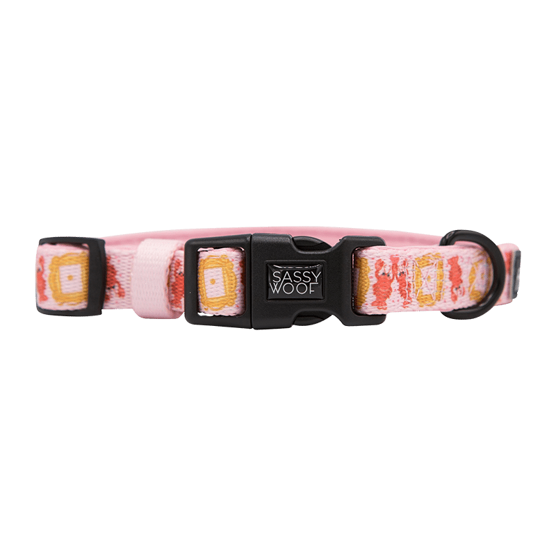Friends Lobster 3 Piece Bundle