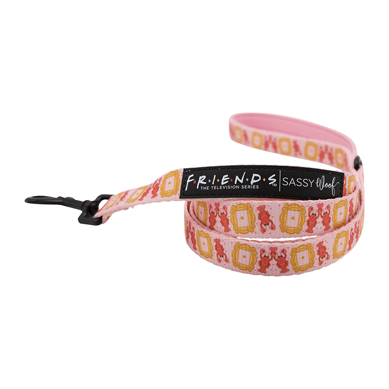 Friends Lobster 3 Piece Bundle