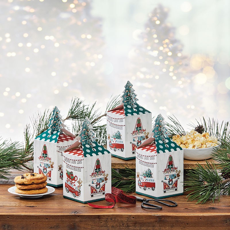 Treat Boxes (6 Pack)