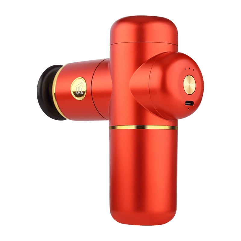 Handheld Deluxe Mini Massager