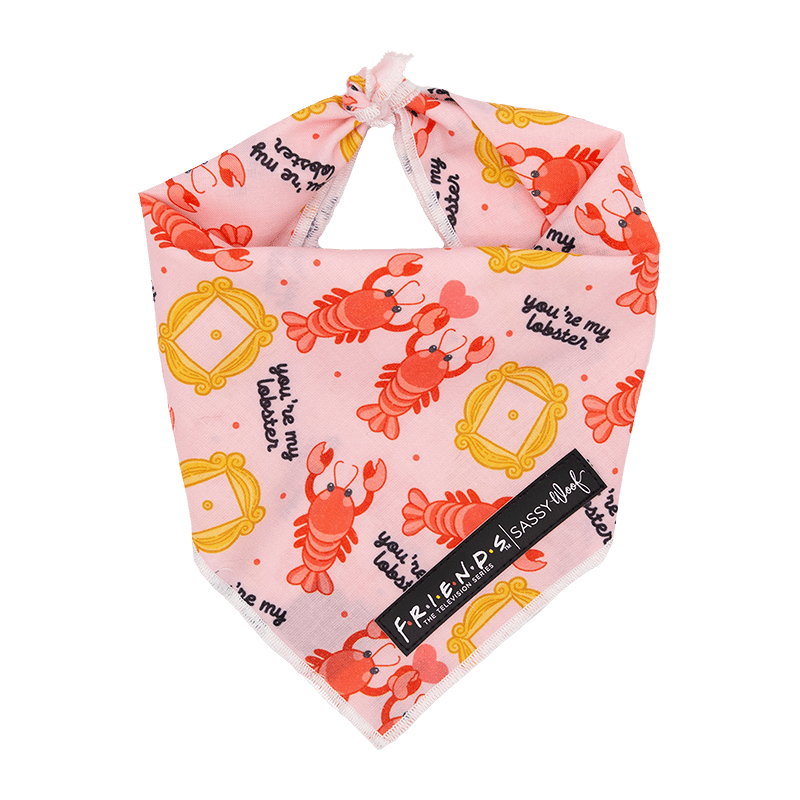 Friends Lobster 3 Piece Bundle