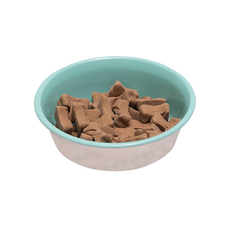 8 Oz Stainless Steel Dog Bowl (Robin's Egg Blue)