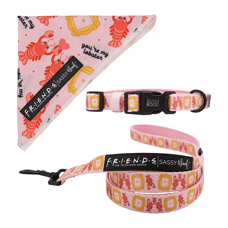 Friends Lobster 3 Piece Bundle