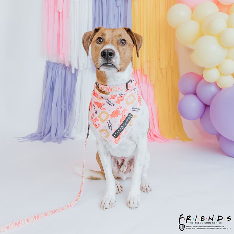 Friends Lobster 3 Piece Bundle