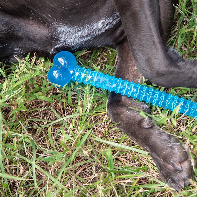 TPR Bone Dog Toy (2 Pack)