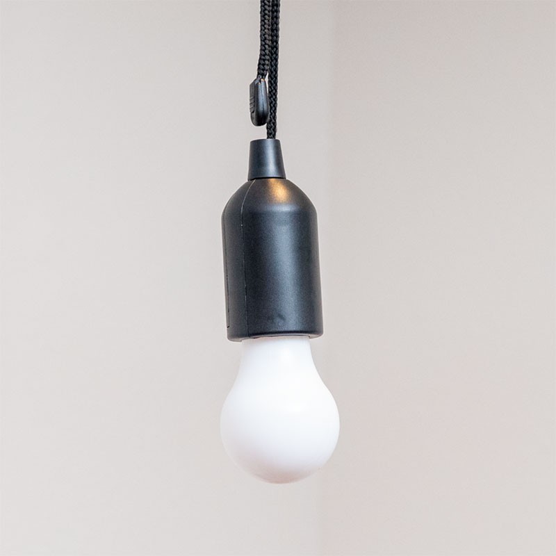 Light Anywhere LED Lightbulb with Pull Cord (2 Pack)