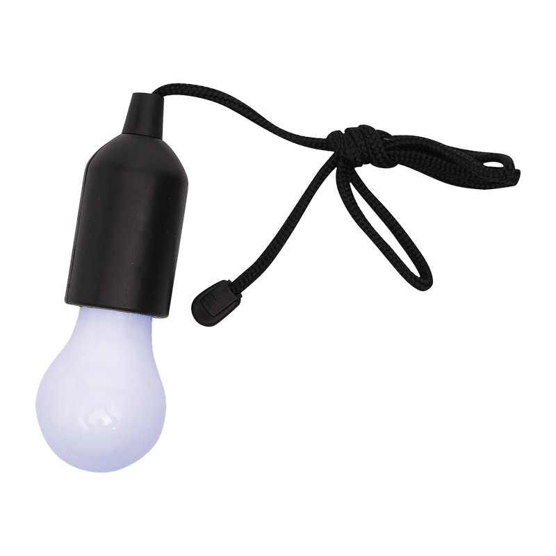 Light Anywhere LED Lightbulb with Pull Cord (2 Pack)