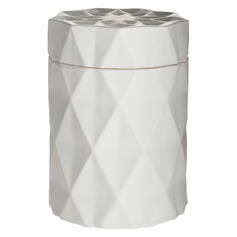 White Cactus Candle