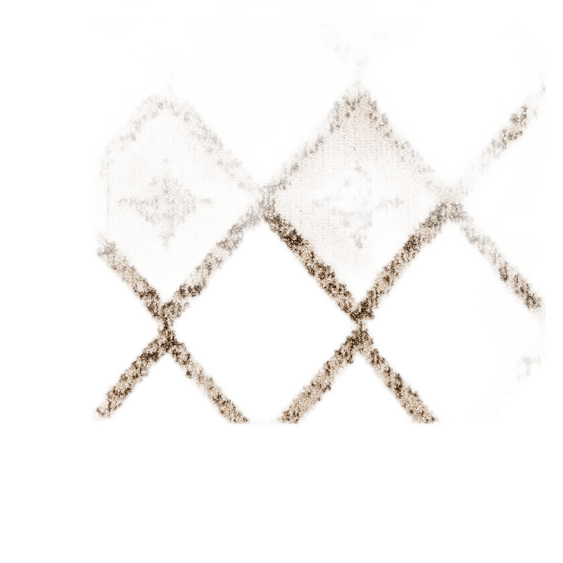 Indoor/Outdoor Trellis Rosalie Area Rug