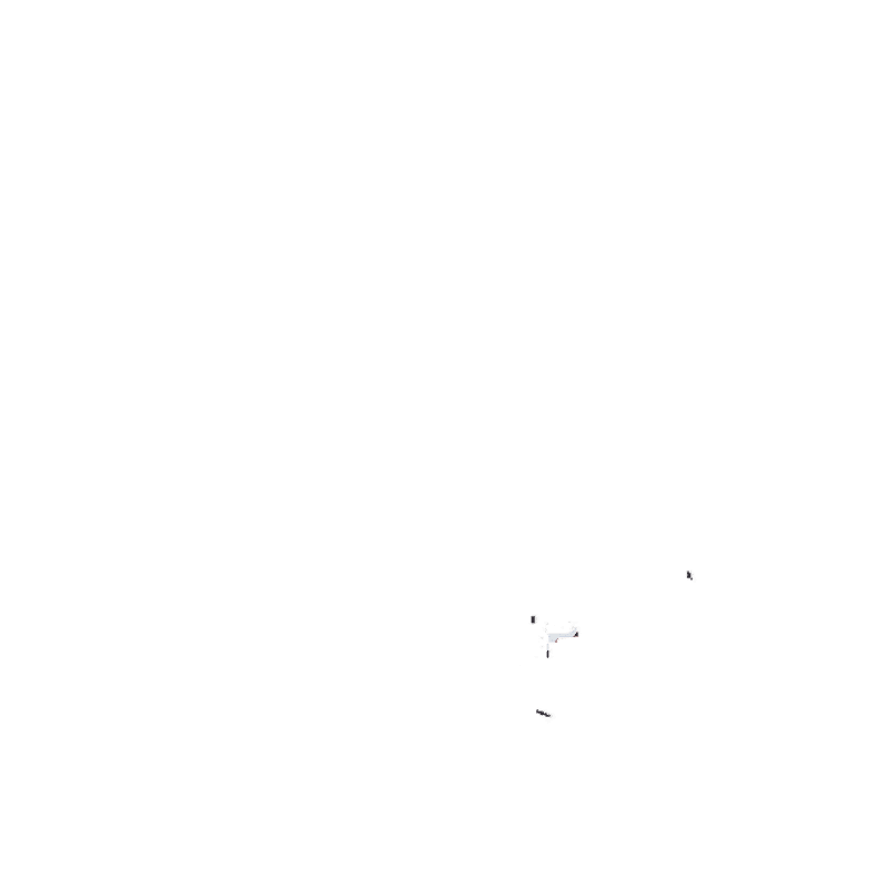 Daisy Print Duffel Bag