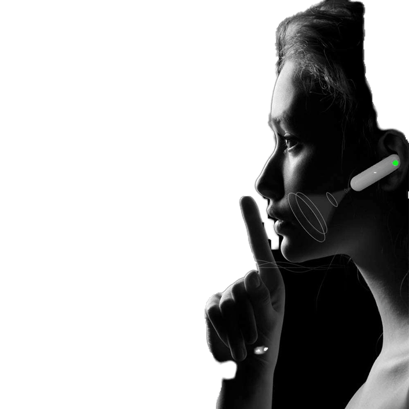 WT2 Plus Language Translator Earbuds - 40 Different Languages