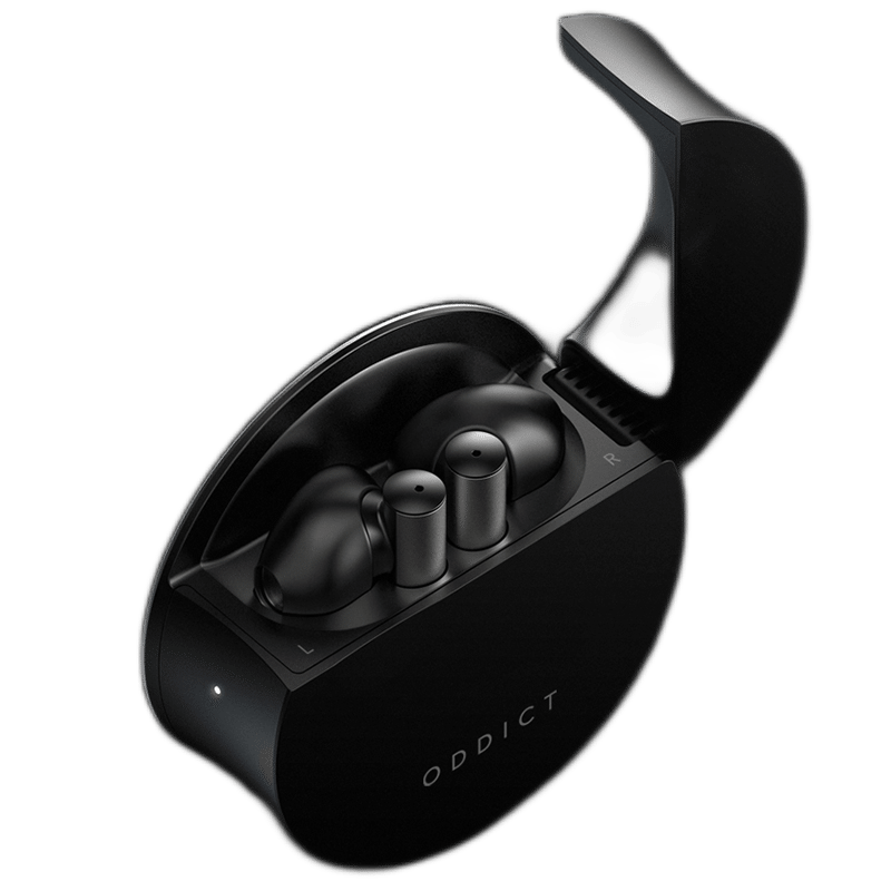 Twig Truly Wireless Earbuds
