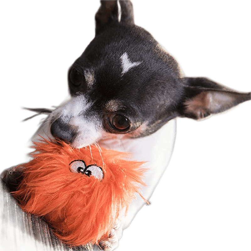 Mini Furballz Dog Toy (2 pack)