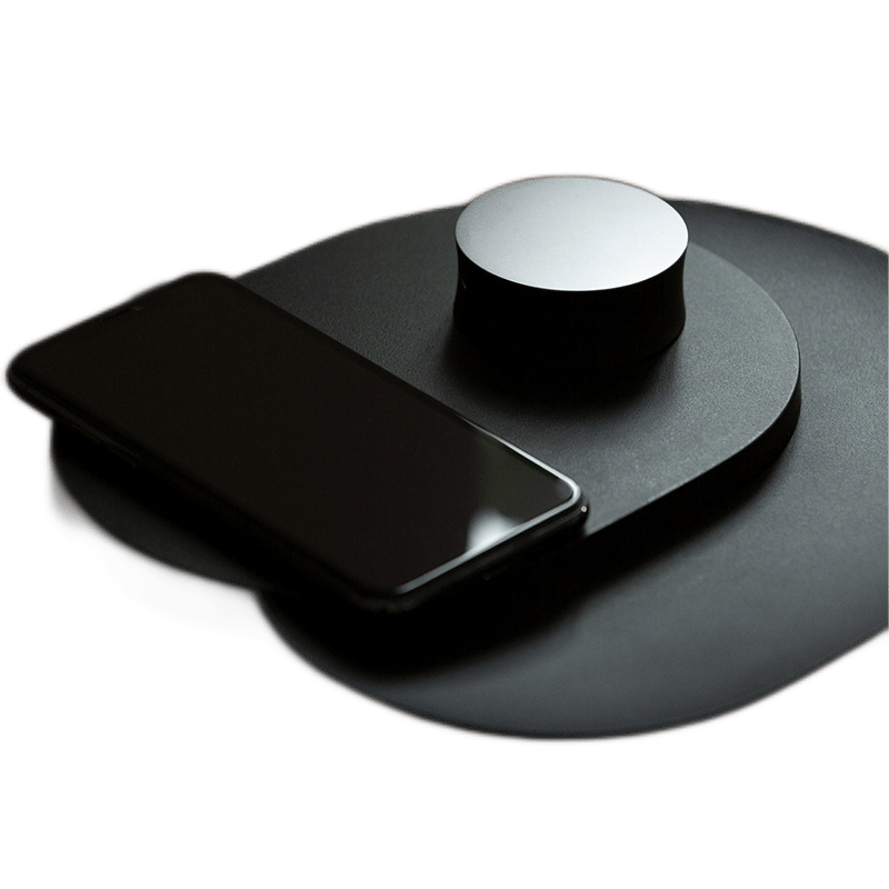 Twig Truly Wireless Earbuds