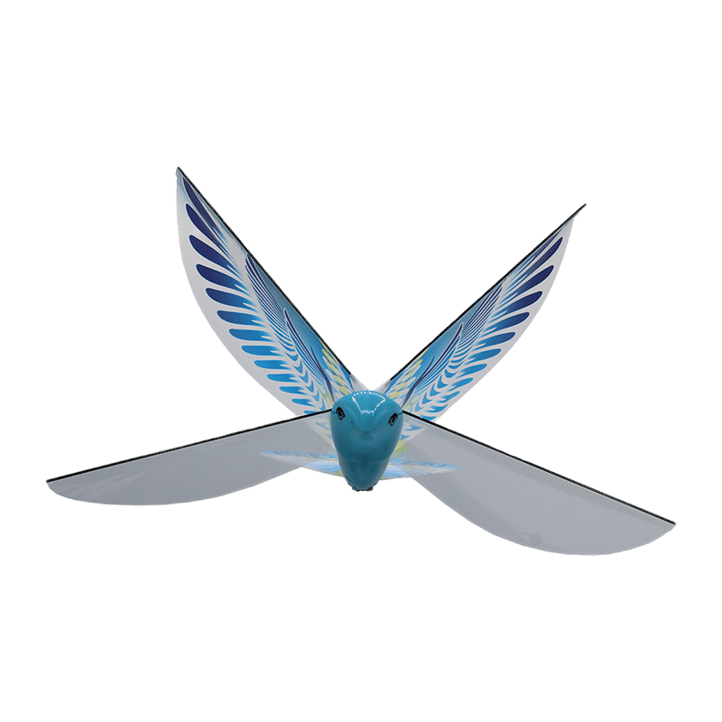 Self-Flying Ebird Solo Flyer (2 Pack)
