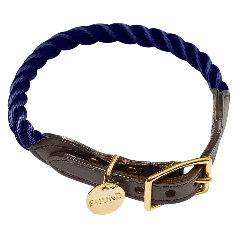 Navy Collar & Multicolor Leash Bundle - Large