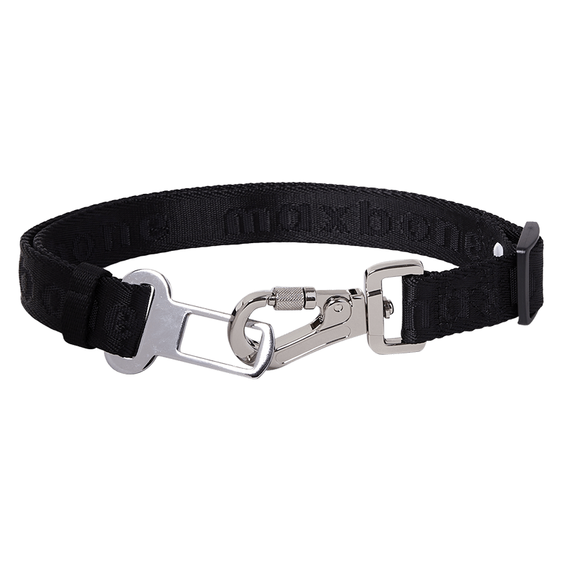 Canine Car Seatbelt