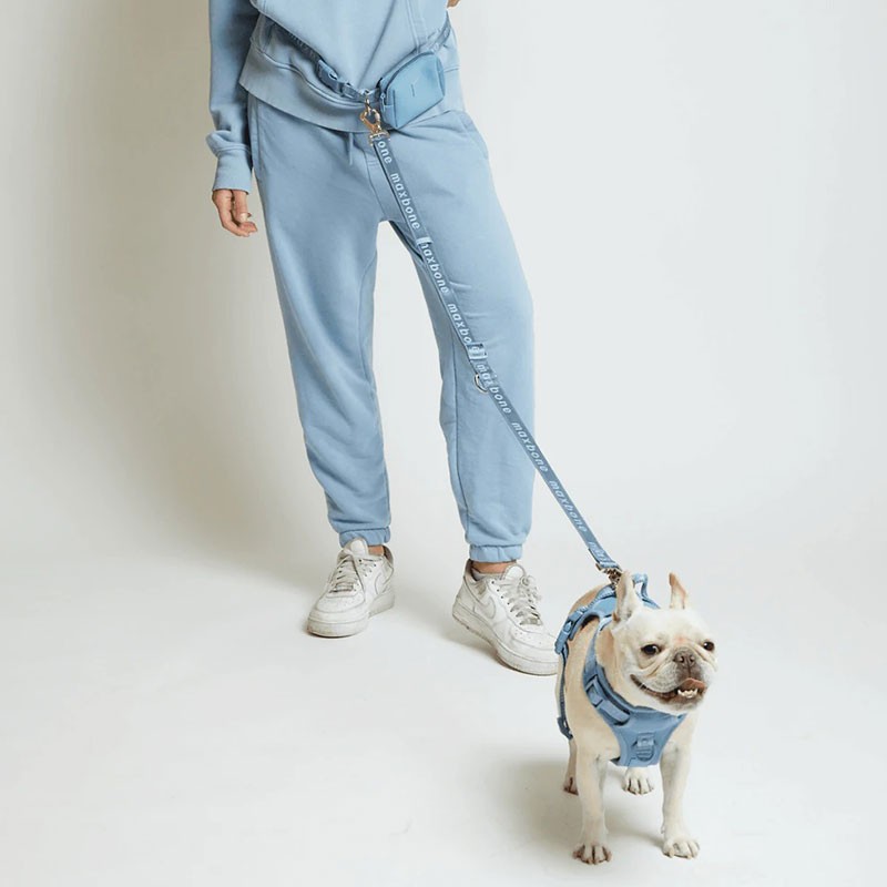 Go with Ease Hands-free Leash