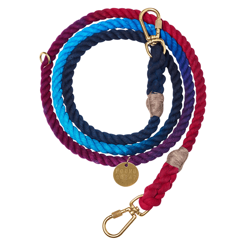 Navy Collar & Multicolor Leash Bundle - Large