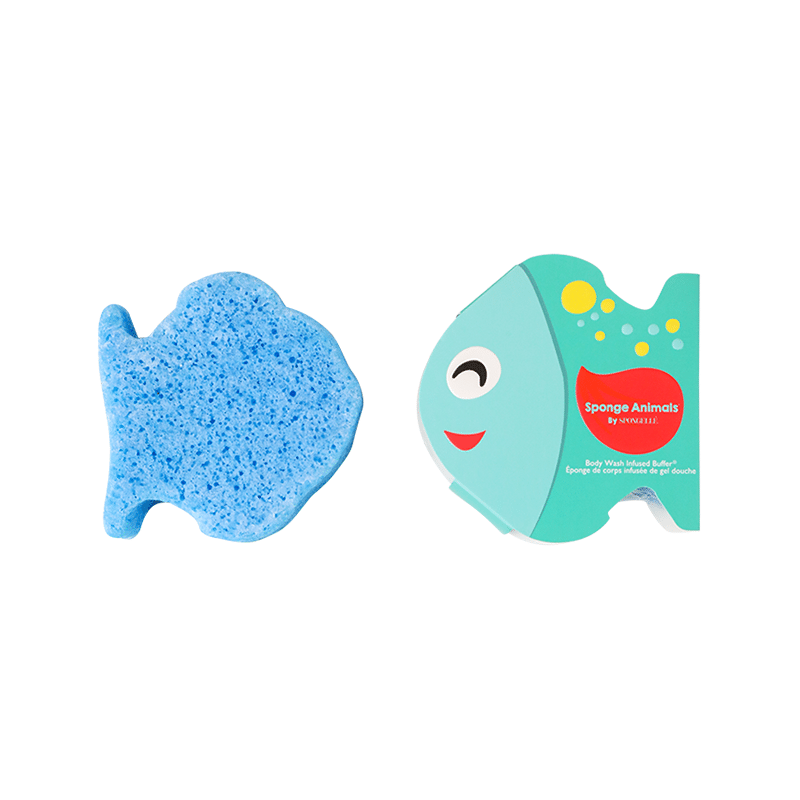 Sponge Animals - Fish