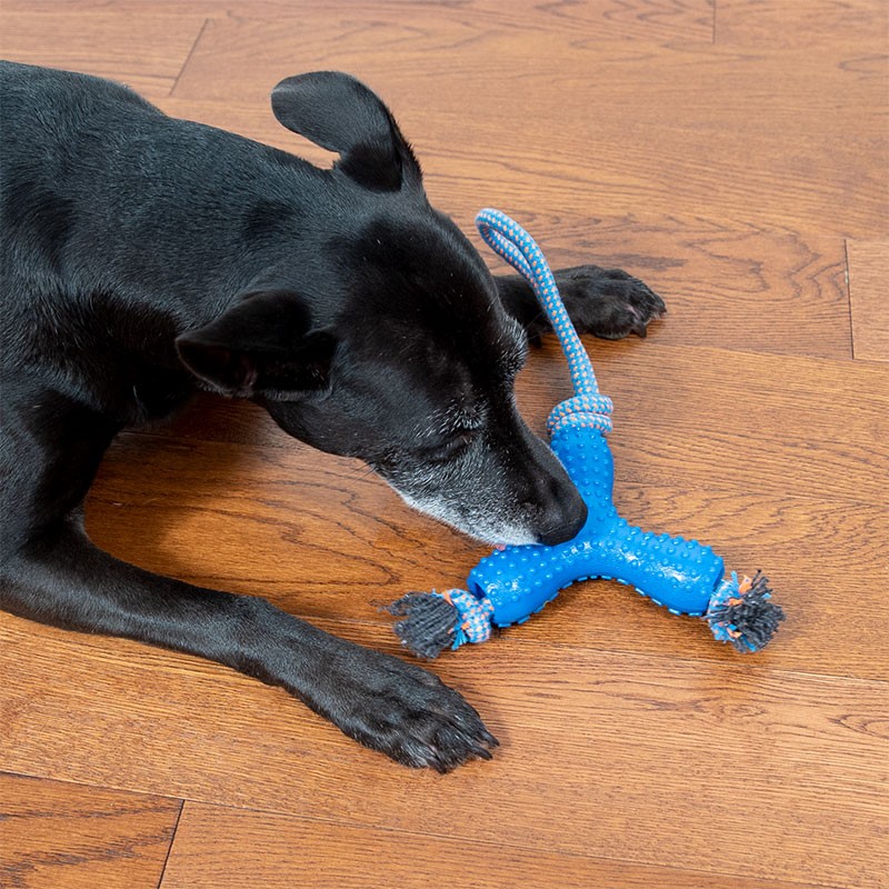 Rubber and Rope Pull Dog Toy (2 Pack)