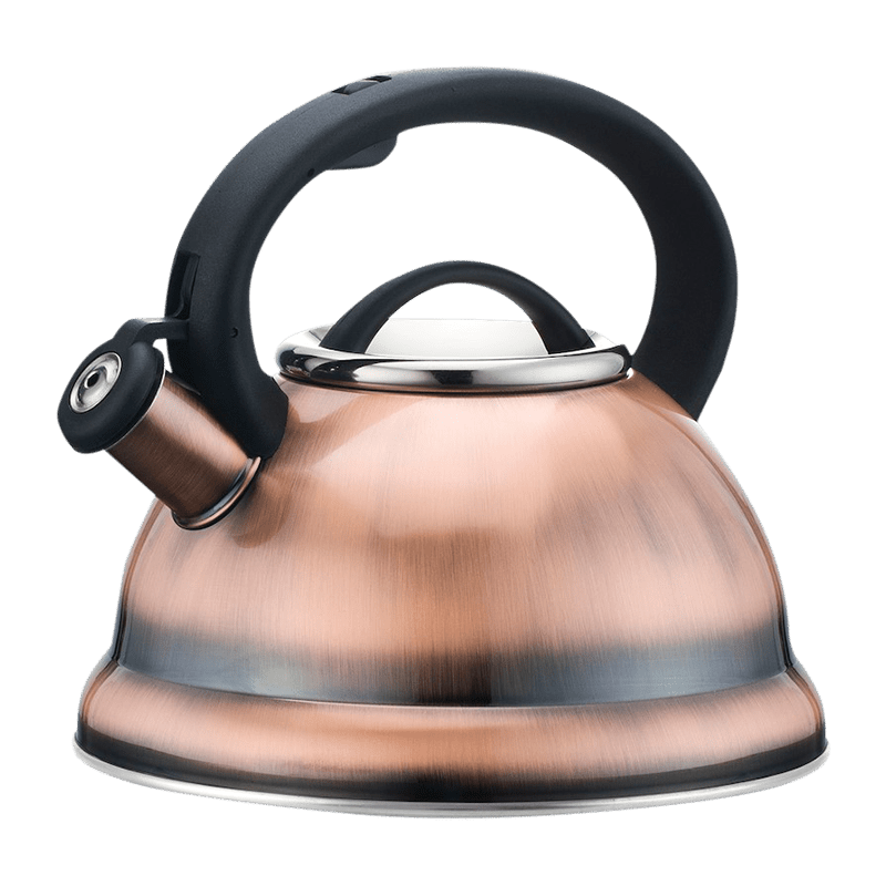 2.8L Whistling Mirror Tea Kettle