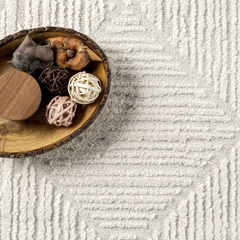 Kerry Textured Geometric Tasseled Area Rug