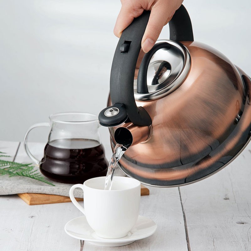 2.8L Whistling Mirror Tea Kettle