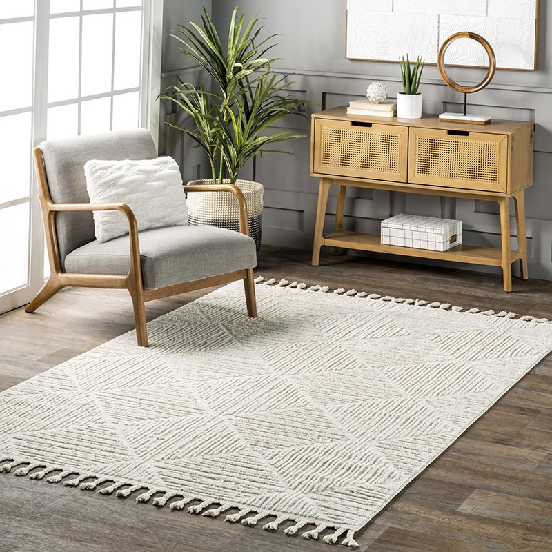 Kerry Textured Geometric Tasseled Area Rug