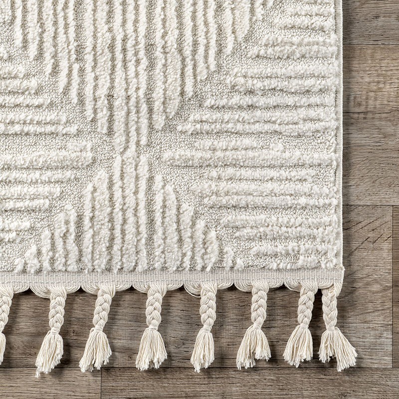 Kerry Textured Geometric Tasseled Area Rug