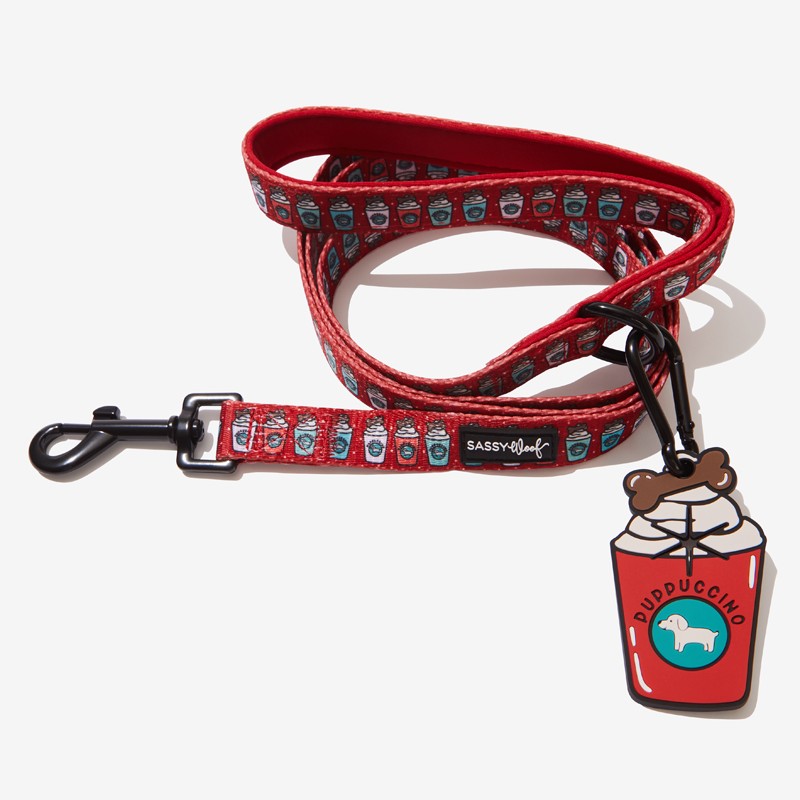 Leash & Potty Pal Combo