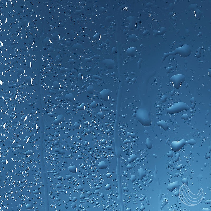 Eucalyptus Shower Spray