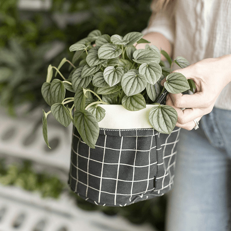 Limited Edition Medium Canvas Bucket (Marche)