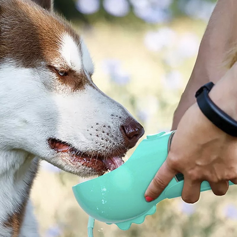Portable 3 in 1 Pet Water Bottle