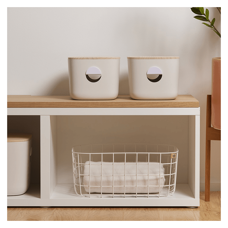 Medium Baskets Set of 2