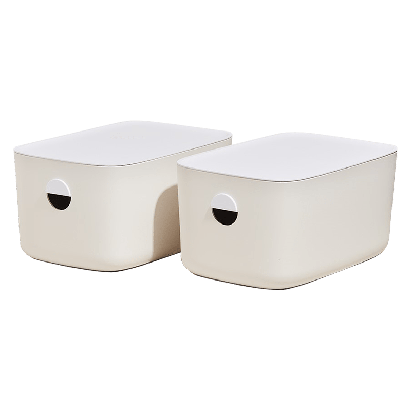 Large Storage Bins with Lids Set of 2