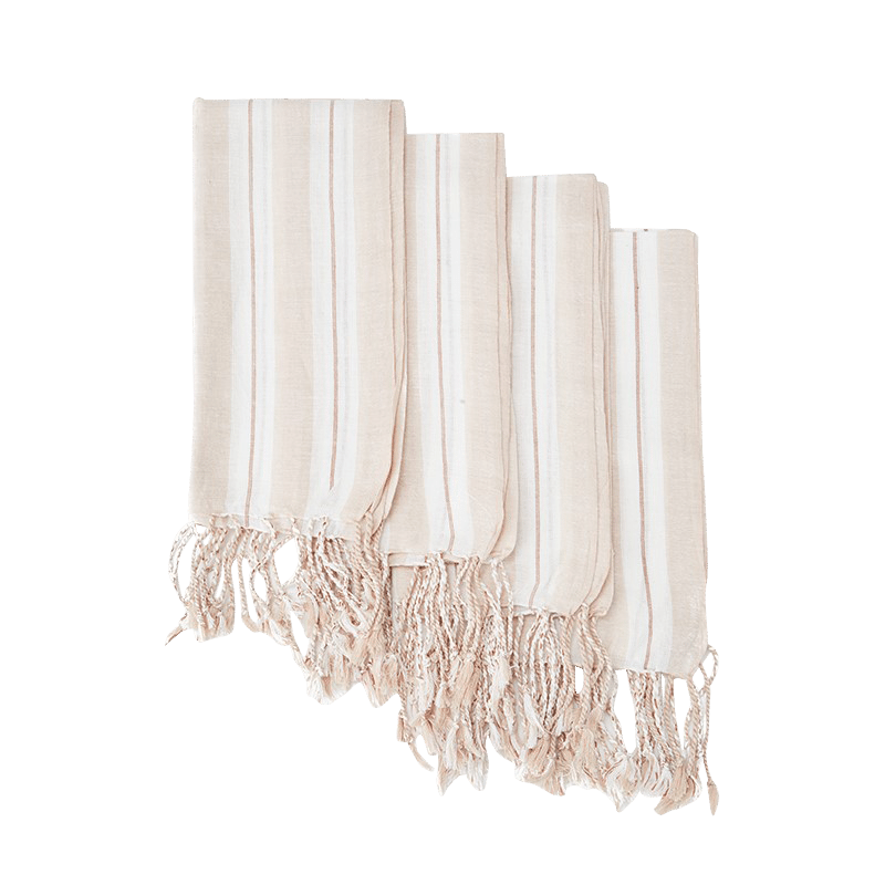 Cloth Napkin Set of 4