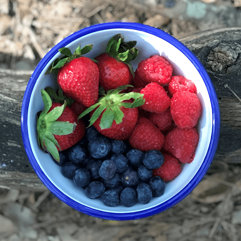 Rolled Rim 12 Piece Set