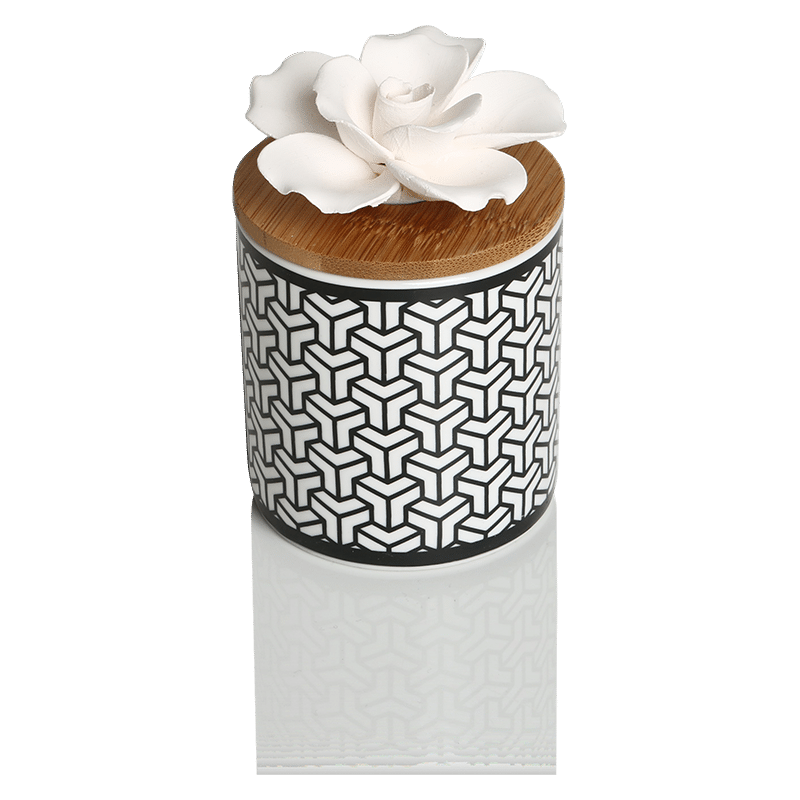 Succulent with Cylinder Base Diffuser