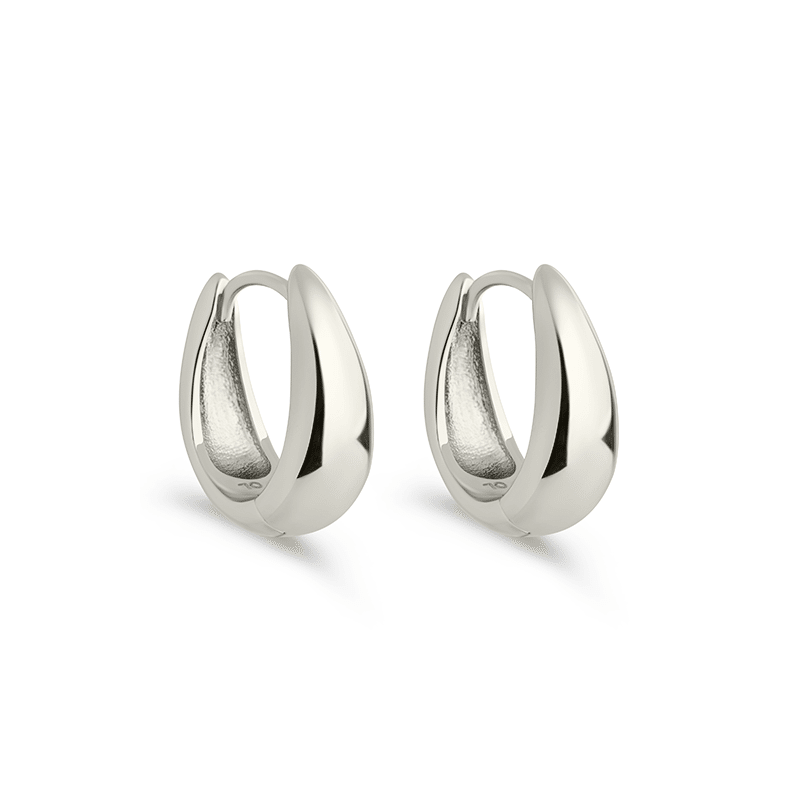 Picture of Lavina Polished Micro Hoop Earrings