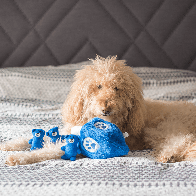 Hanukkah Zippy Burrow - Dreidel