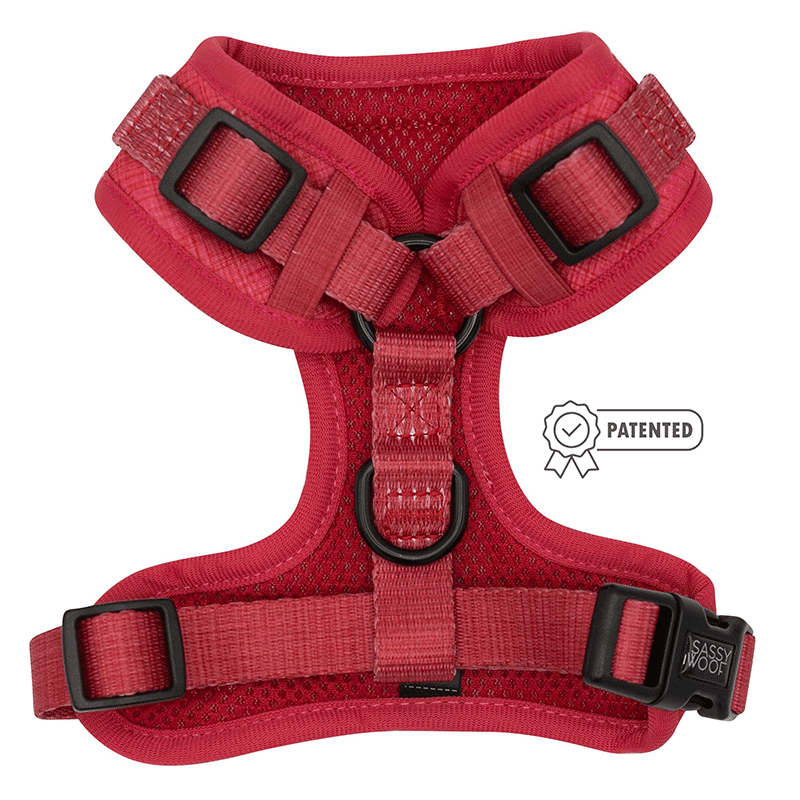 Dog Harness 