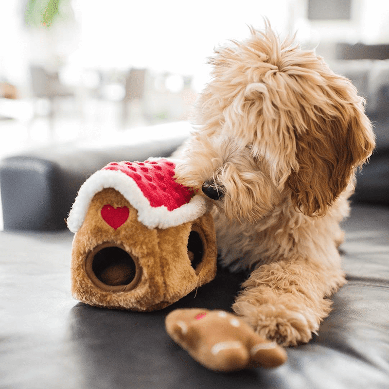 Holiday Zippy Burrow - Gingerbread House