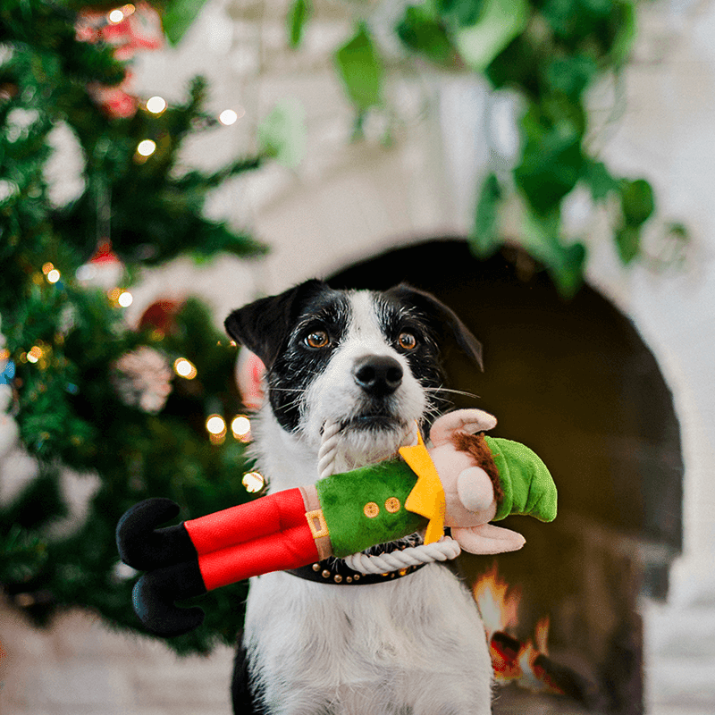 Merry Woofmas - Santa's Little Elf-er