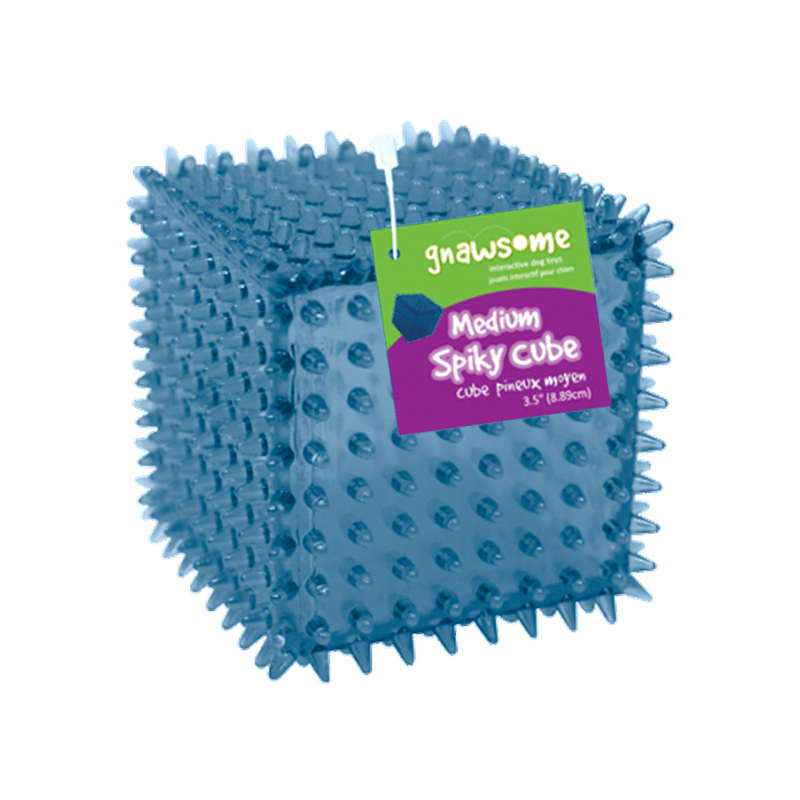 Gnawsome Spiky Squeaker TPR Cube 3.5