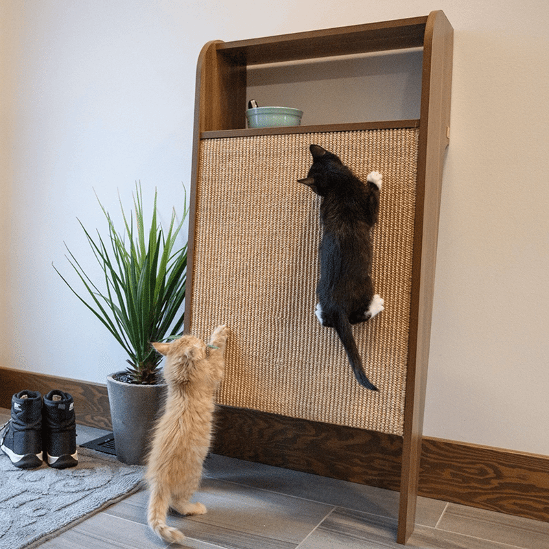 Wesley Wall Scratcher