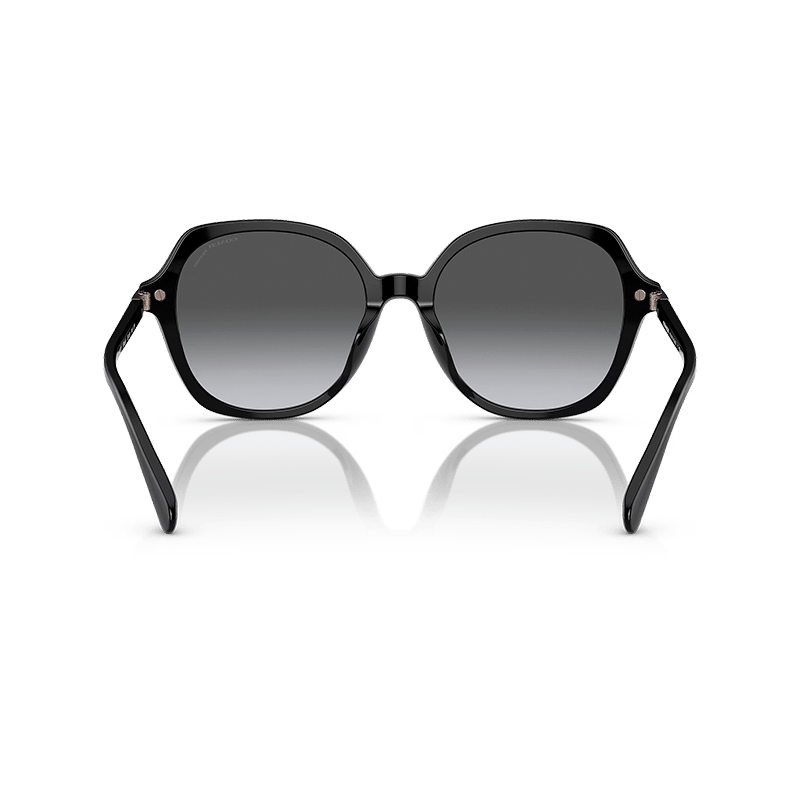 Oversized Polarized Sunglasses