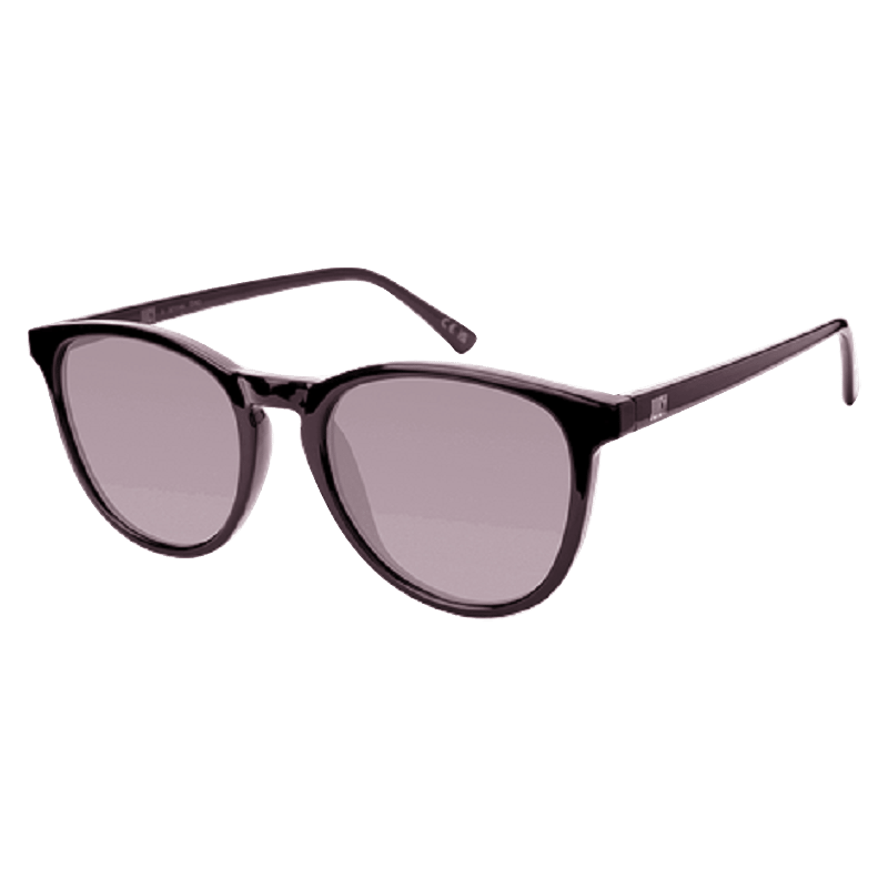 Dino Sunglasses