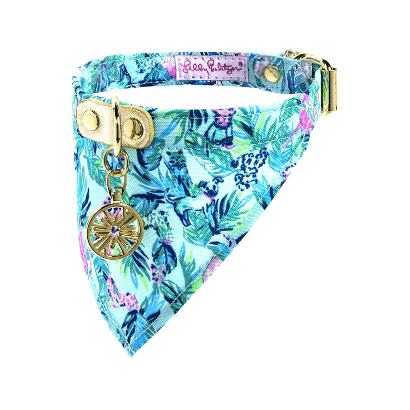 Dog Collar with Bandana - S/M